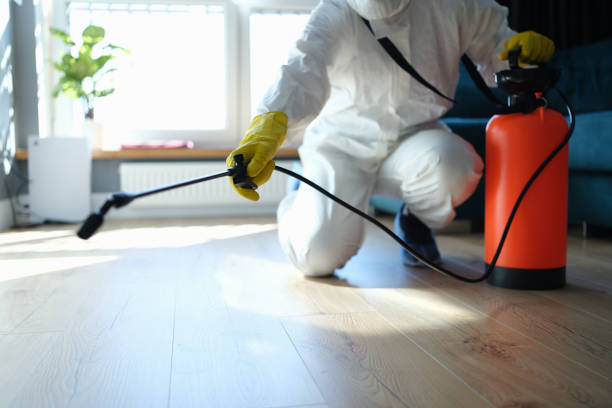 Reliable Odor Removal contractor in Conway, SC by Trauma Clean Pros